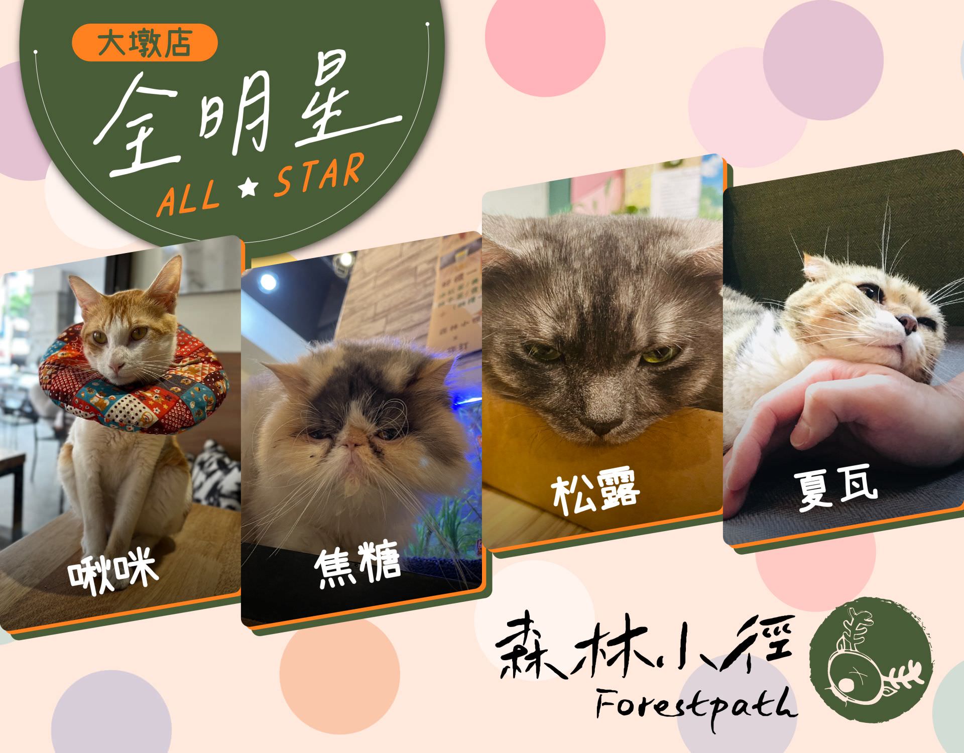 森林小徑大墩店餐廳大墩店的明星